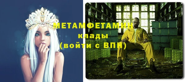 шишки Горно-Алтайск