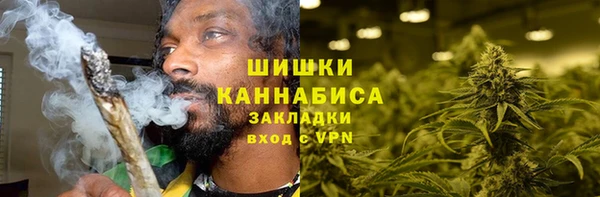 винт Вяземский
